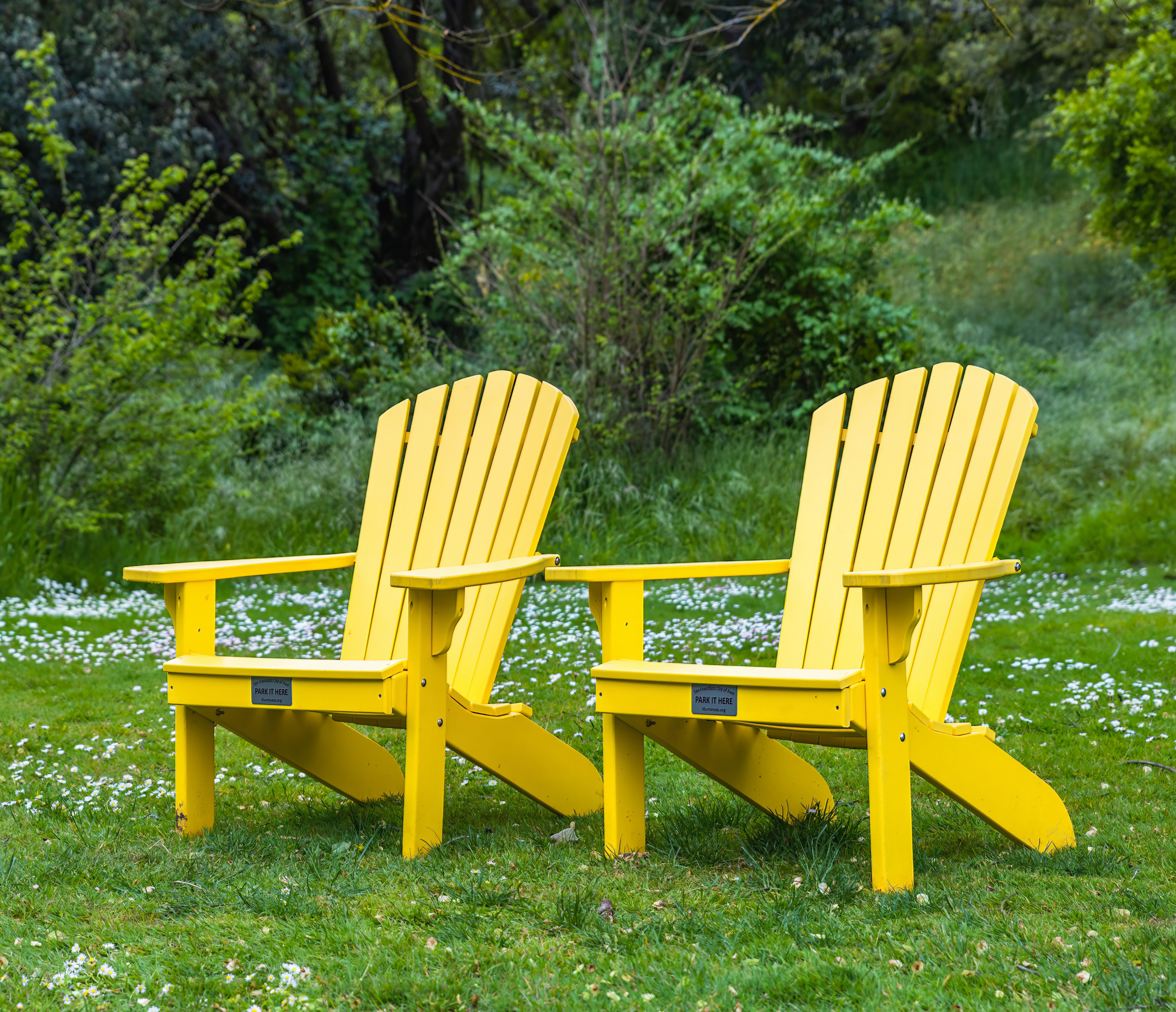 Yellow Adirondack chairs in a lush green backyard - the outdoor space pest control protects