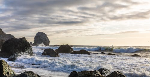 Foto profissional grátis de água, batida, beira-mar