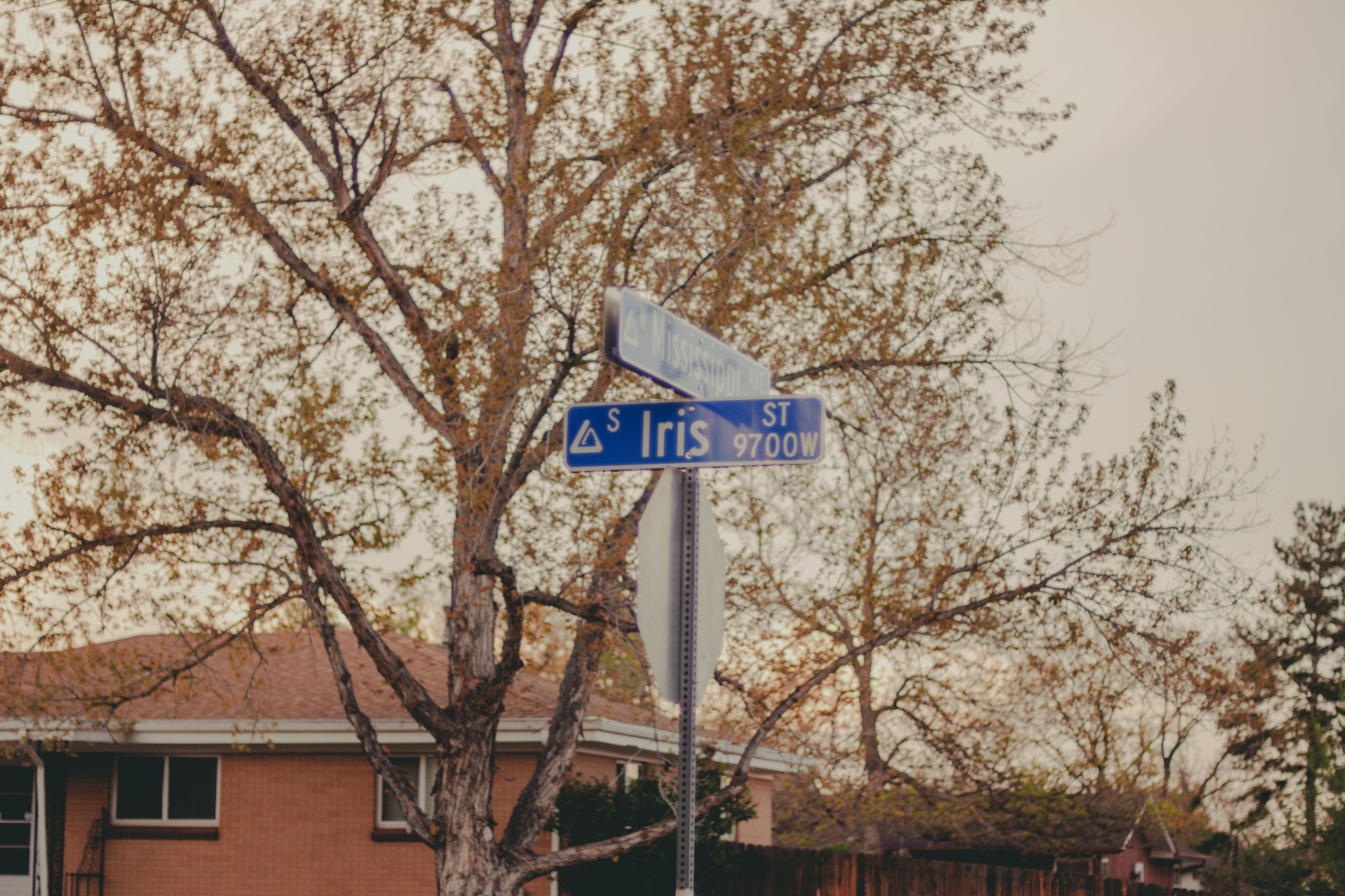 Directional Signs in a Suburban Street · Free Stock Photo