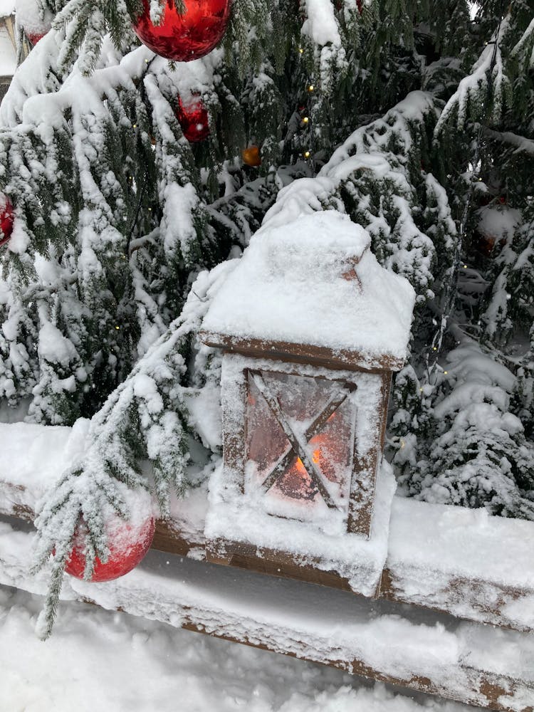 Christmas Decoration In Frost