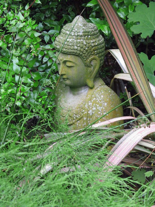 A Buddha Figurine in a Garden 