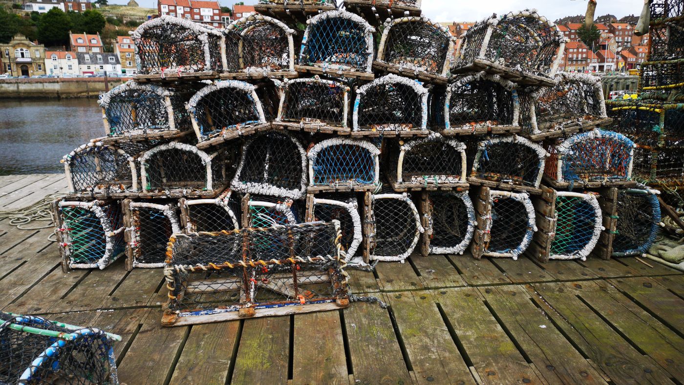 Fishing License Traps: What No One Mentions at the Counter