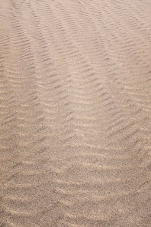 คลังภาพถ่ายฟรี ของ ความสูญเปล่า, ทรายขาว, ทะเลทราย