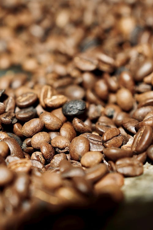 Free A Close-up of Coffee Beans Stock Photo