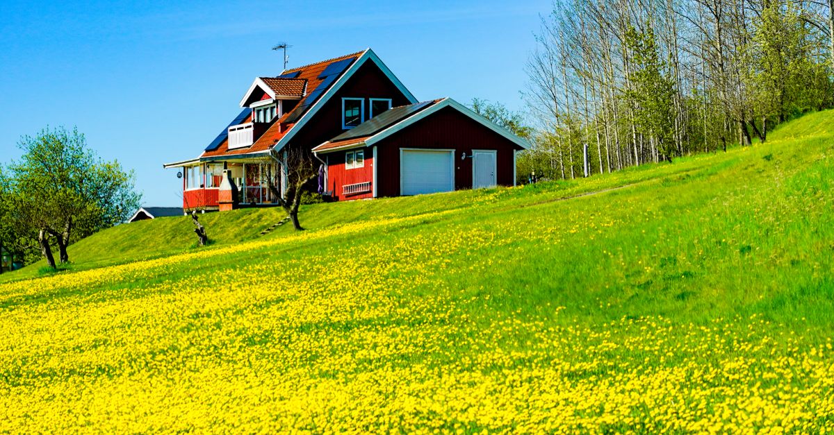 Idyllic red house with yellow wildflowers in a sunny rural meadow.