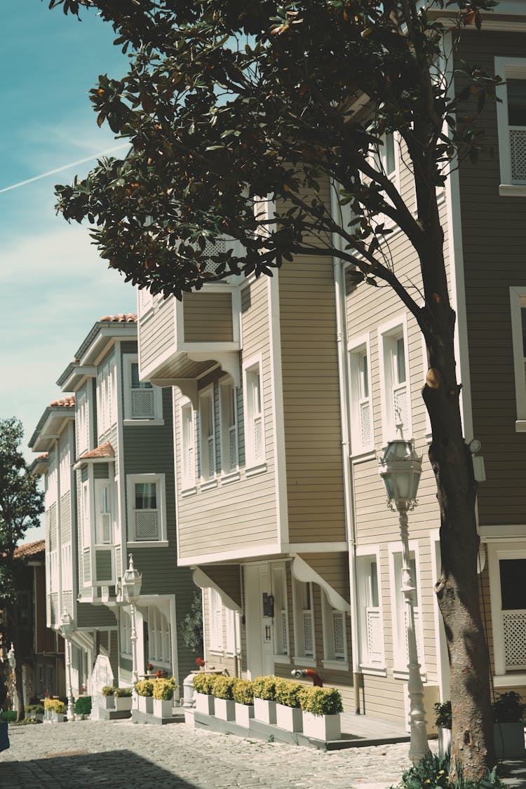 A House Building By The Street