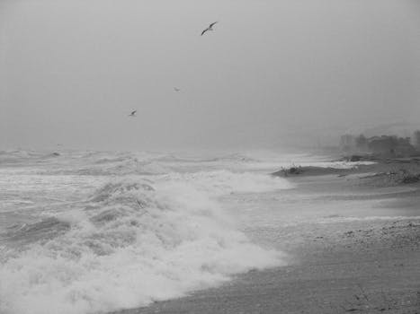 Black and white photo of waves crashing on a stormy beach with seagulls flying overhead.