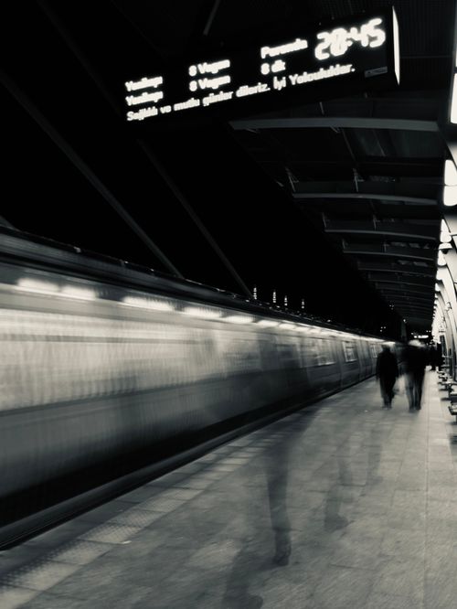 Free stock photo of air transportation, at night, black-crowned night heron Stock Photo