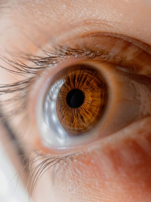 Free Macro photograph capturing the intricate details of a human eye's iris. Stock Photo