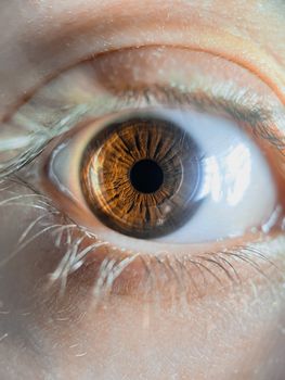 Macro photo showcasing the intricate brown iris and pupil of a human eye.
