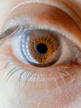 Detailed macro shot highlighting the intricate patterns of a brown eye.