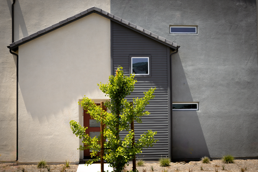 Contemporary residential facade featuring minimalist design and vibrant garden element.