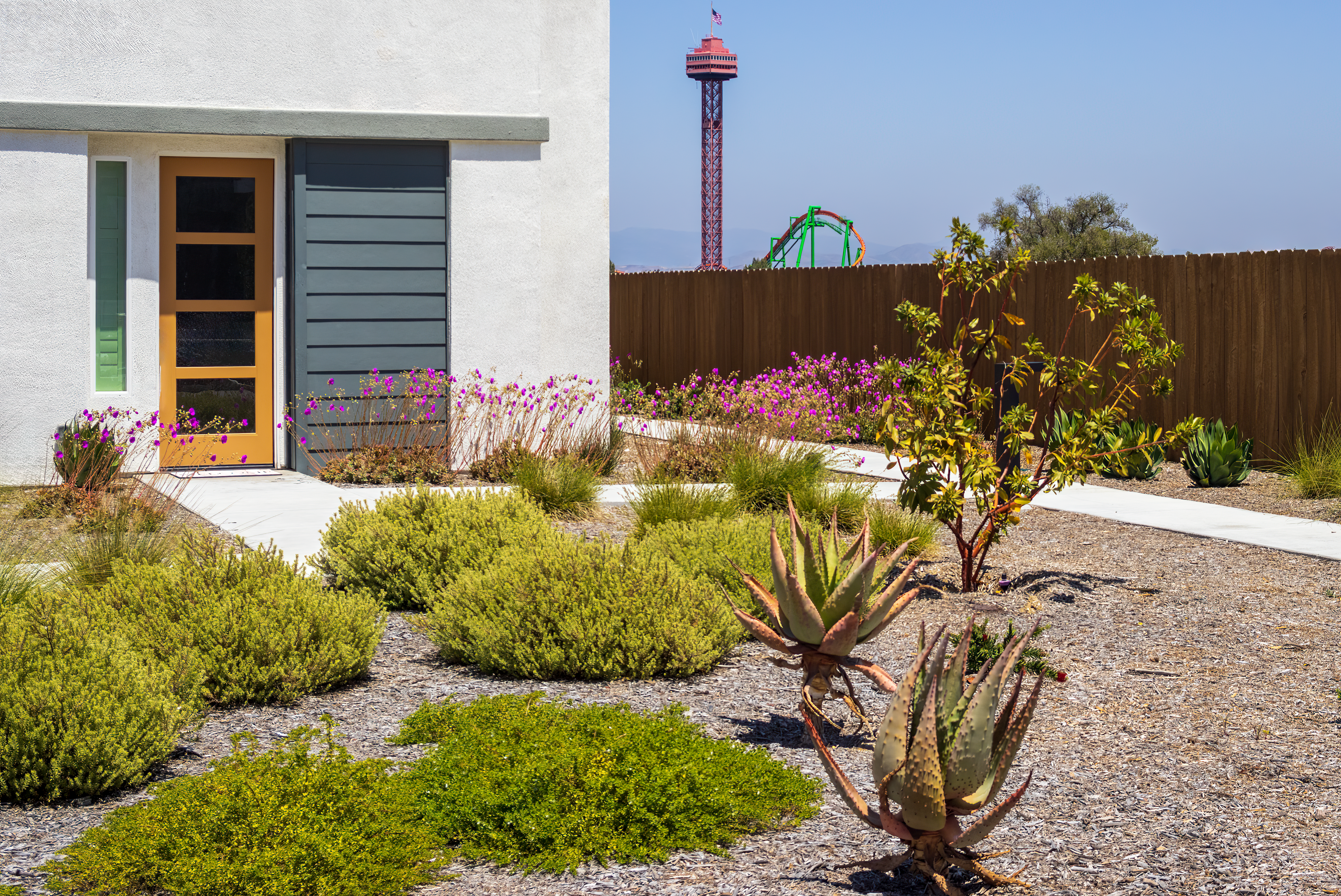 drought-tolerant garden with native California plants - Backyard landscaping Orange County