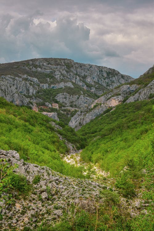 Foto profissional grátis de cênico, colina, montanha