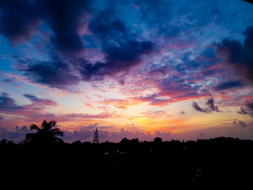 Základová fotografie zdarma na téma dramatická obloha, mraky, palma
