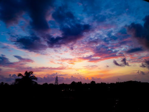 Silhouetted Trees under a Dramatic Sunset Sky 