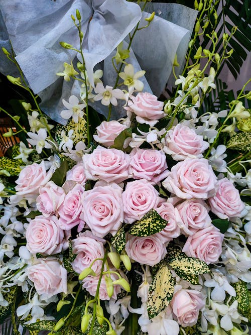 A Large Bouquet of Pink Roses 