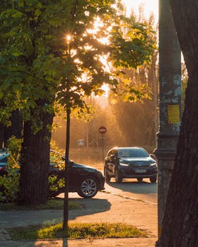 Image by Pavel Sharko