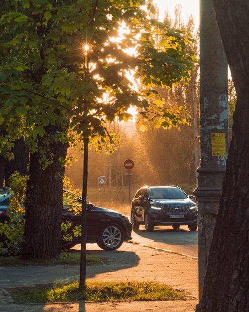Free A sunlit urban street scene featuring SUVs and lush trees in a vibrant city setting. Stock Photo