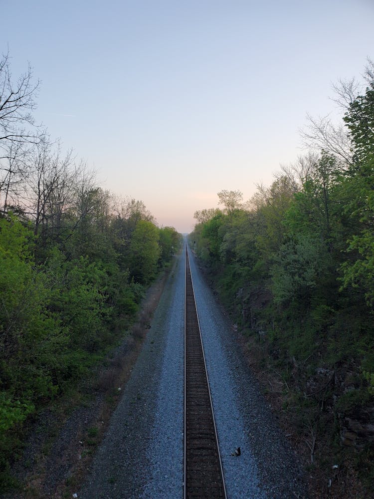 Trees Around Railway