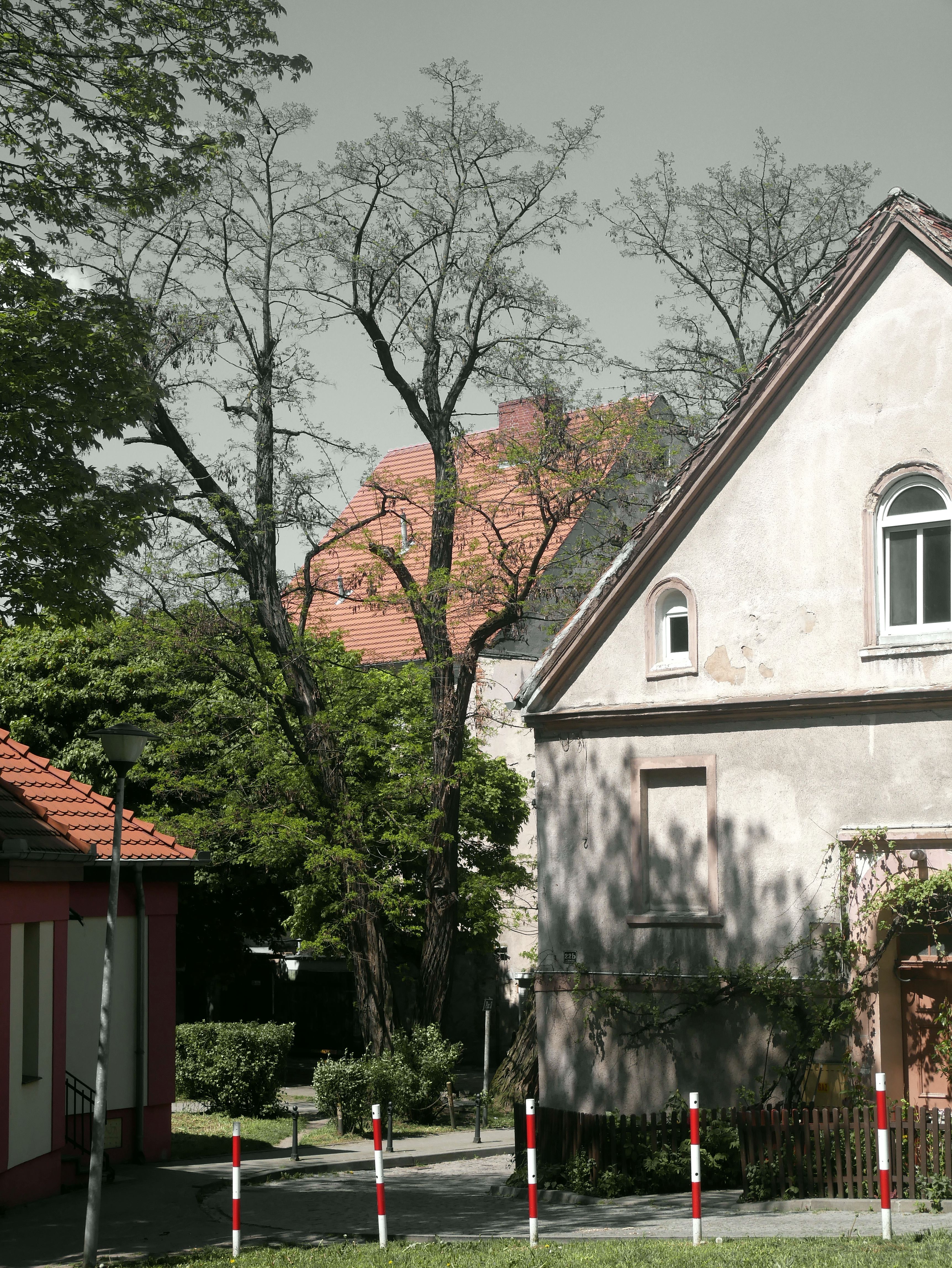 Homes 20feliz Photos, Download The BEST Free Homes 20feliz Stock Photos ...
