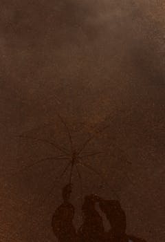 Silhouette of a person with umbrella reflected in water, creating an artistic scene.