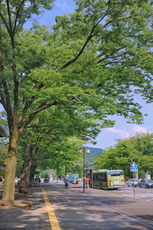 Free stock photo of bright, bus stop, fresh