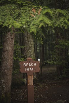 Moody forest scene featuring a 'Beach Trail' sign along a wooded path in Chilliwack, BC.