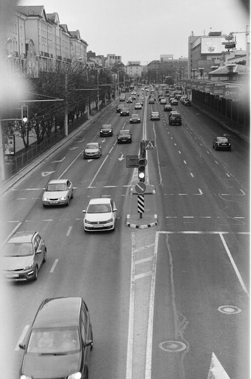 Cars on Street in Black and White