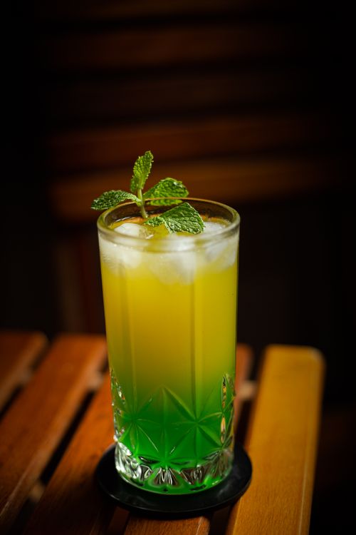Free A refreshing citrus and mint cocktail in a tall glass with ice and mint garnish. Stock Photo