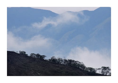 sudhakarkrishanan 照片灰色, 喀拉拉邦, 天性 的 免费素材图片