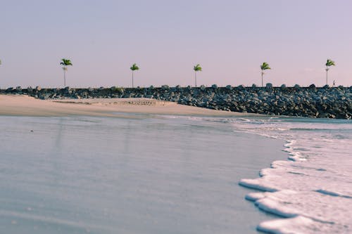 Gratis lagerfoto af hav, palmer, sand