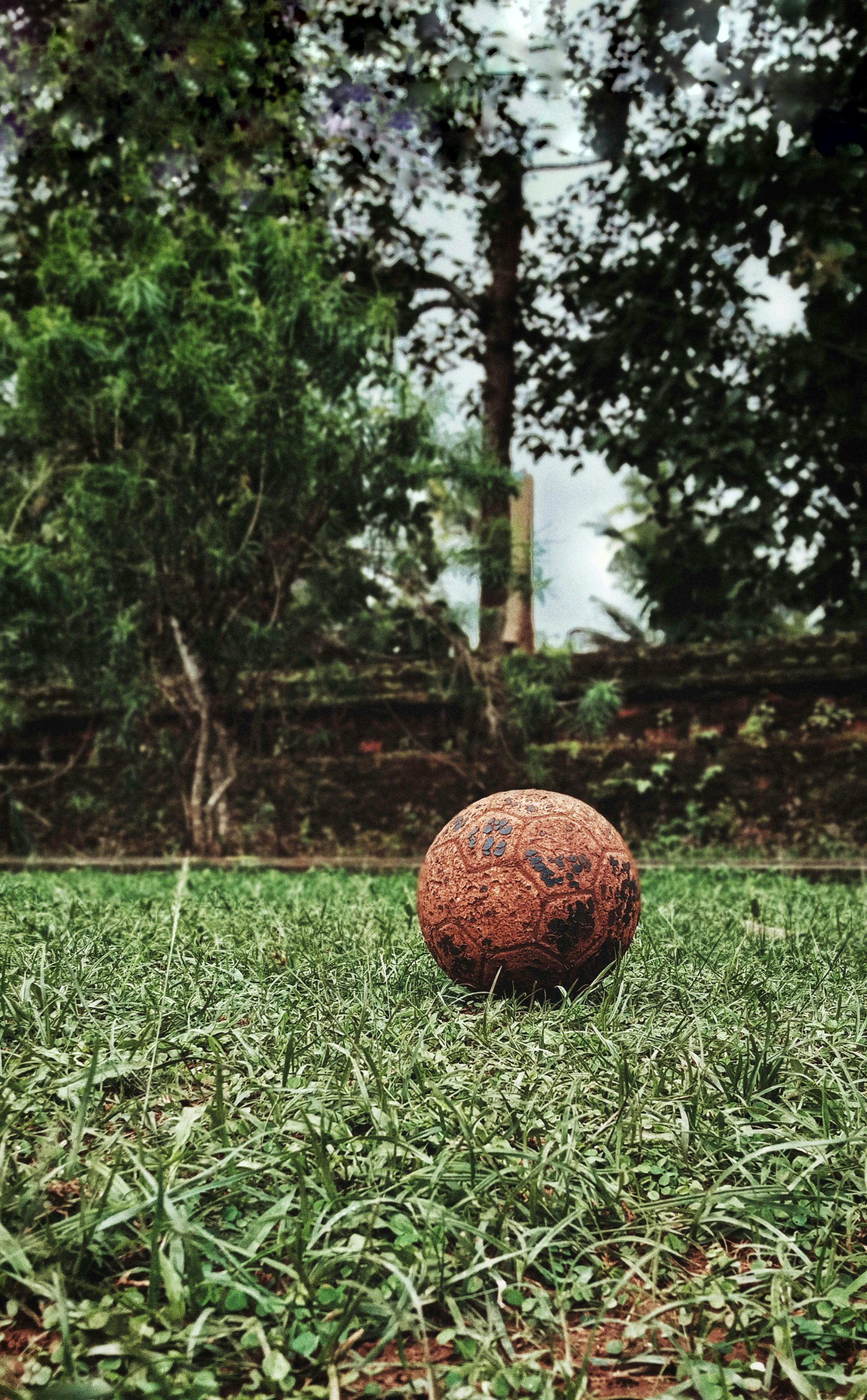 dirty soccer ball on lawn