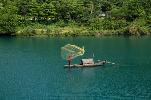 Free Fisherman casts net from boat on a tranquil lake surrounded by lush greenery. Stock Photo