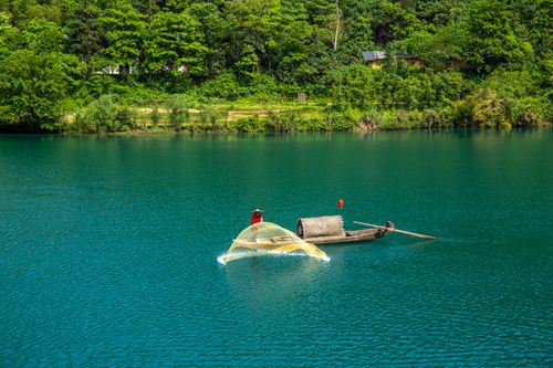 Free A lone fisherman casts a net from his boat on a tranquil, scenic lake surrounded by lush greenery. Stock Photo