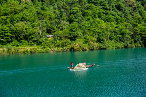 Free A fisherman on a boat casting a net on a serene river surrounded by lush greenery. Stock Photo