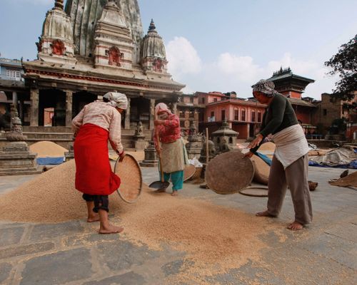 Free Women in Bungamati, Nepal drying grains under temple architecture on a bright day. Stock Photo