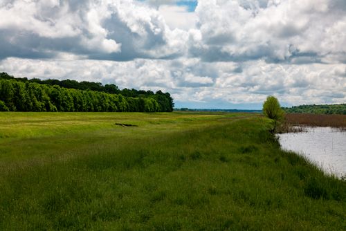 Free Peaceful meadow with lush greenery and forest under cloudy sky in Garešnica, Croatia Stock Photo