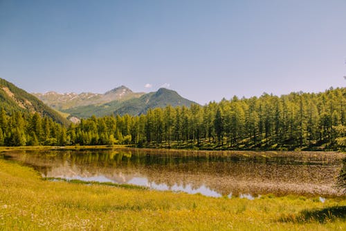 Un tableau vivant d'un lac devant une montagne en pleine nature