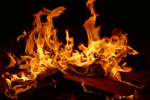 Free stock photo of ash, blaze, bonfire