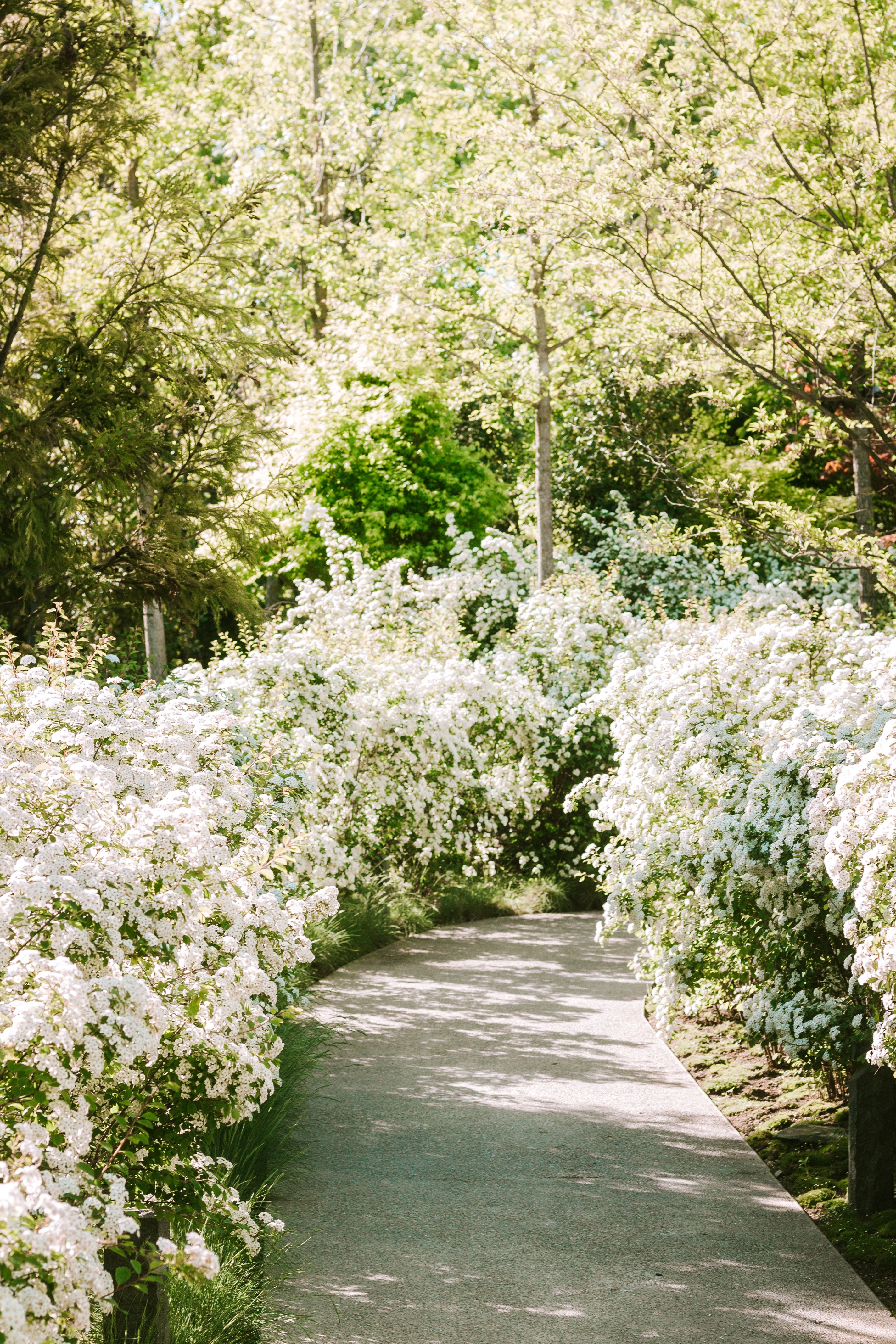 Illustrative landscaped residential garden path, not Hall’s work