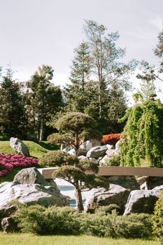 Lush garden with rocks and diverse trees under a clear sky.