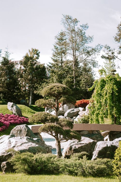 Free Lush garden with rocks and diverse trees under a clear sky. Stock Photo