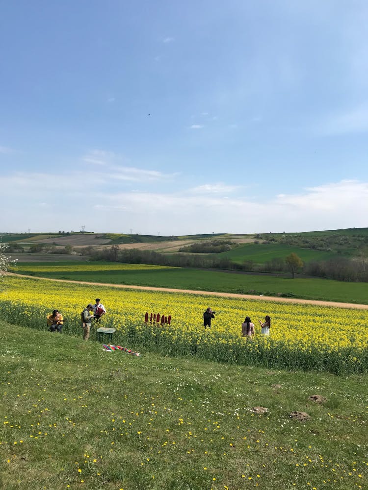 Photographic Session On Meadow