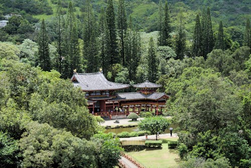 A Traditional Temple in a Forest
