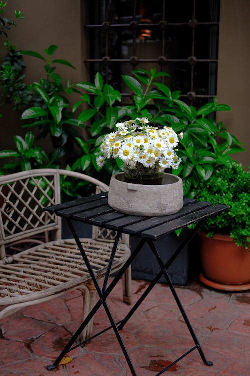 A small table with a flower pot on it