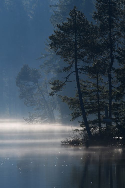 Fotobanka s bezplatnými fotkami na tému hmla, jazero, krajina