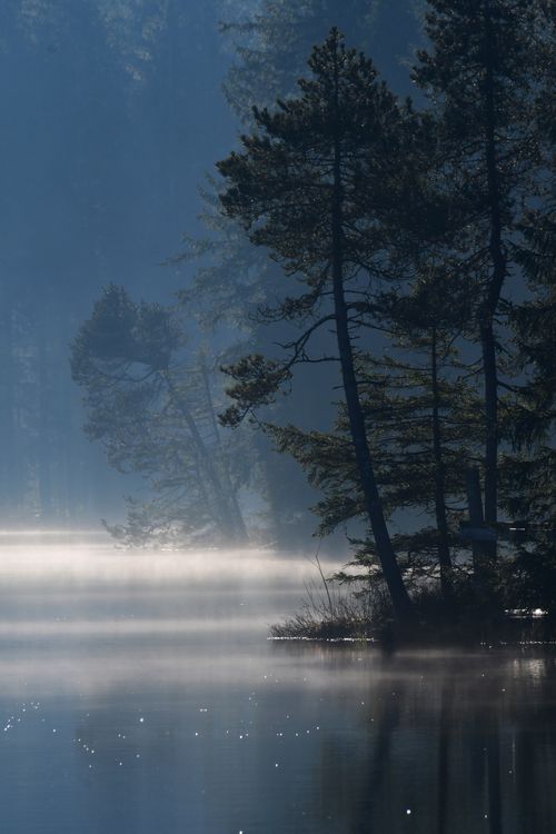 Free Mysterious foggy landscape with trees by a tranquil lake, creating a serene atmosphere. Stock Photo