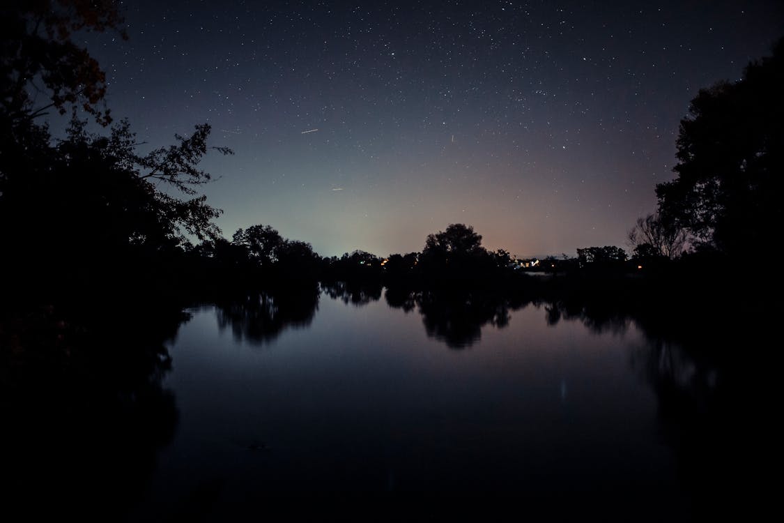 Silhouette of Trees Near Body of Water during Night Time