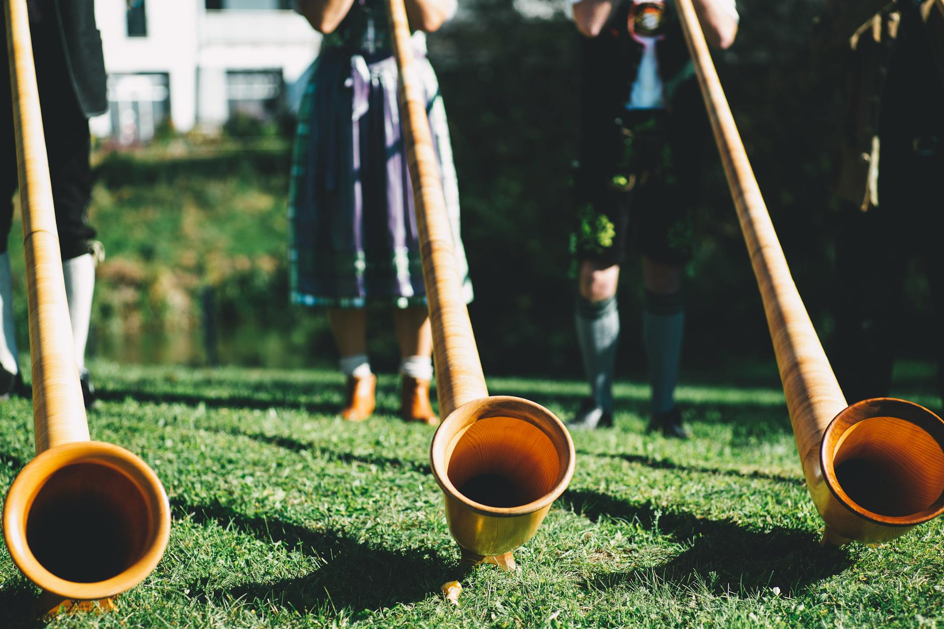 https://www.pexels.com/photo/wood-people-field-grass-1679704/